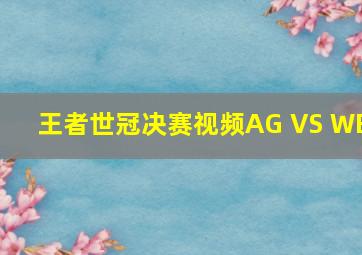 王者世冠决赛视频AG VS WB